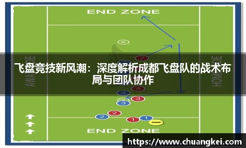 飞盘竞技新风潮：深度解析成都飞盘队的战术布局与团队协作